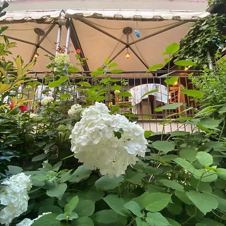 Hotel Palavas